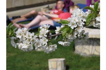 Šeiminis pensionas Sárvár 16